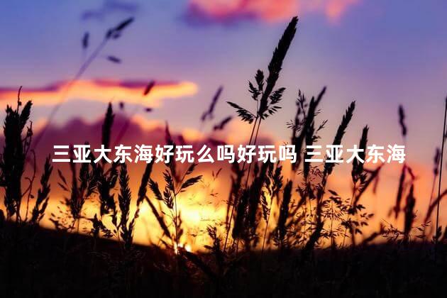 三亚大东海好玩么吗好玩吗 三亚大东海景区